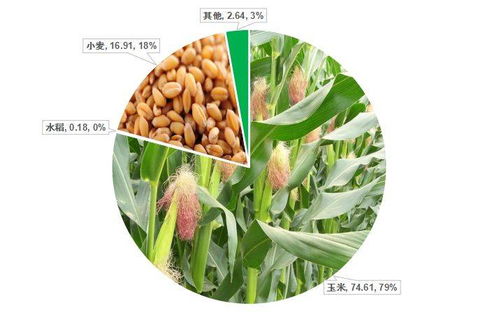 禾本科雜草（草）的識(shí)別與防治 基于中國農(nóng)業(yè)大數(shù)據(jù)的洞察