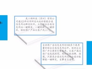 數字時代的好幫手 撲來貓與深圳網絡推廣的完美結合